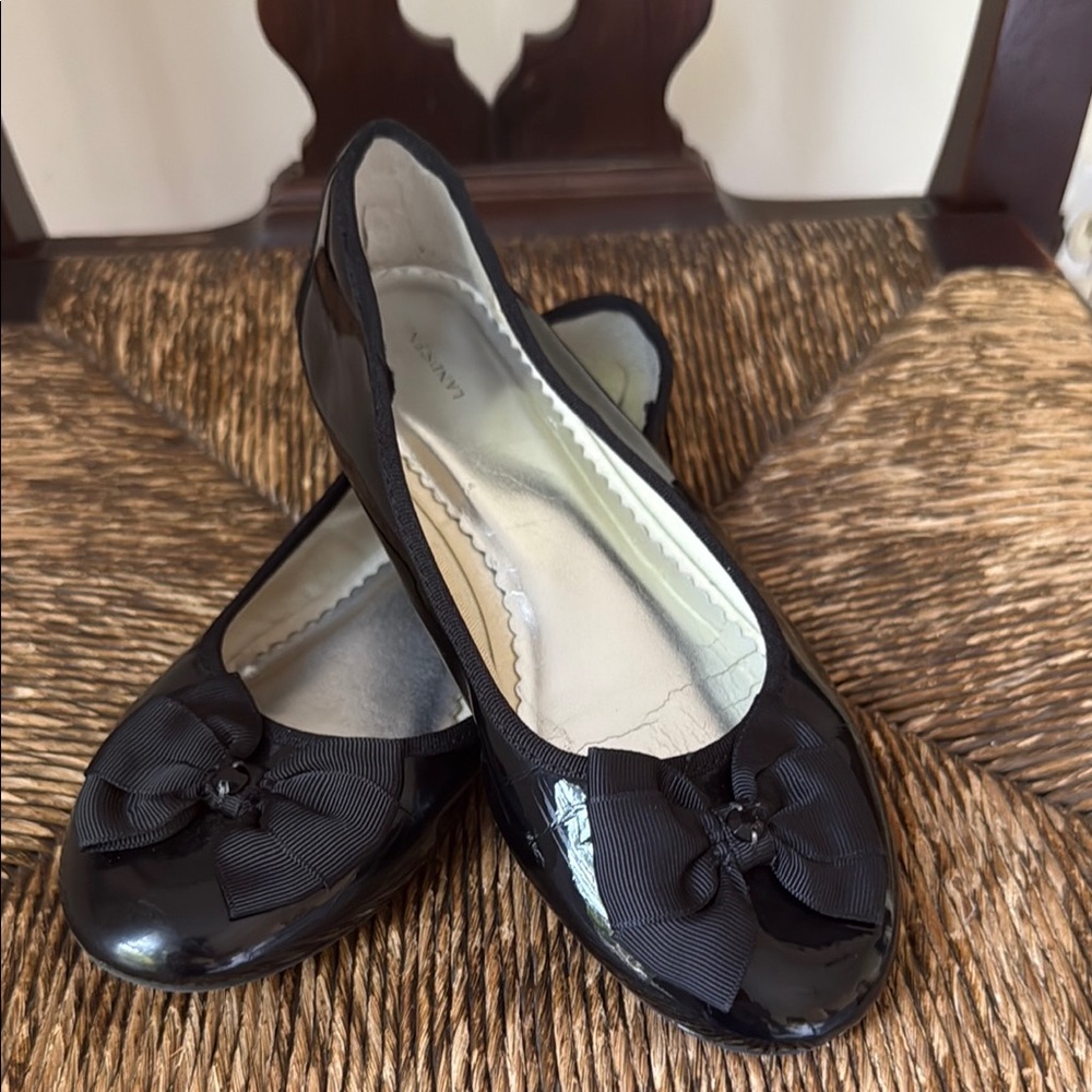 Elegant Black Ballet Flats